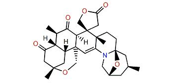 Kuroshine I